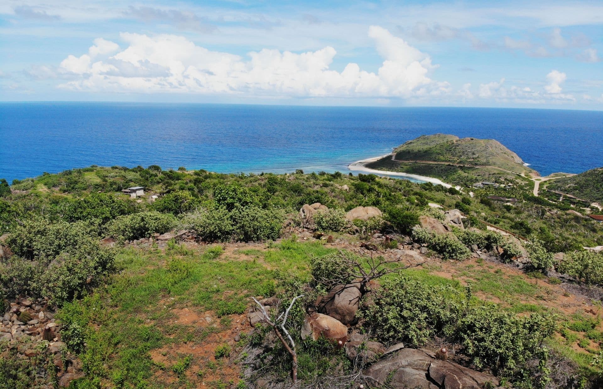 A scenic coastal landscape featuring lush green hills leading down to a serene, blue ocean. In the foreground are scattered rocks and trees on what could be an ideal homesite, while the background showcases a small, hilly peninsula jutting into the calm waters. Puffy white clouds dot the sky.