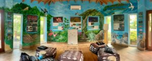 Panoramic view of a colorful room with vibrant nature murals depicting birds, plants, and landscapes. Reminiscent of a luxury escape like Oil Nut Bay in the British Virgin Islands, the room features bean bags, a whiteboard, posters, and large windows inviting natural light in.