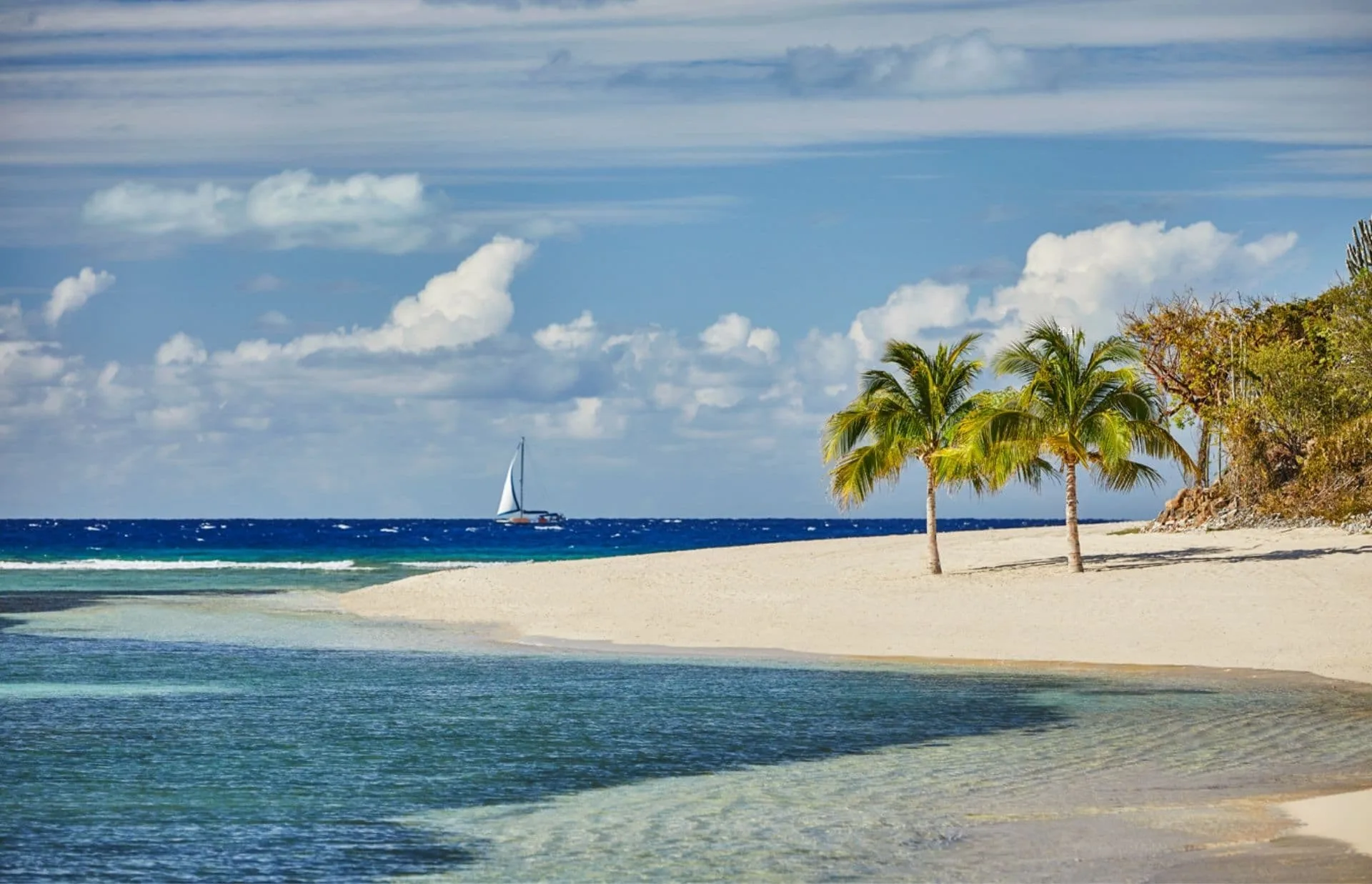 A serene beach with white sand and clear blue water. Two tall palm trees stand near the shoreline, and a sailboat is seen in the distant ocean under a partly cloudy sky. The vibrant colors create a relaxing and picturesque scene at the edge of Oil Nut Bay, reflecting Sustainable BVI Development principles.