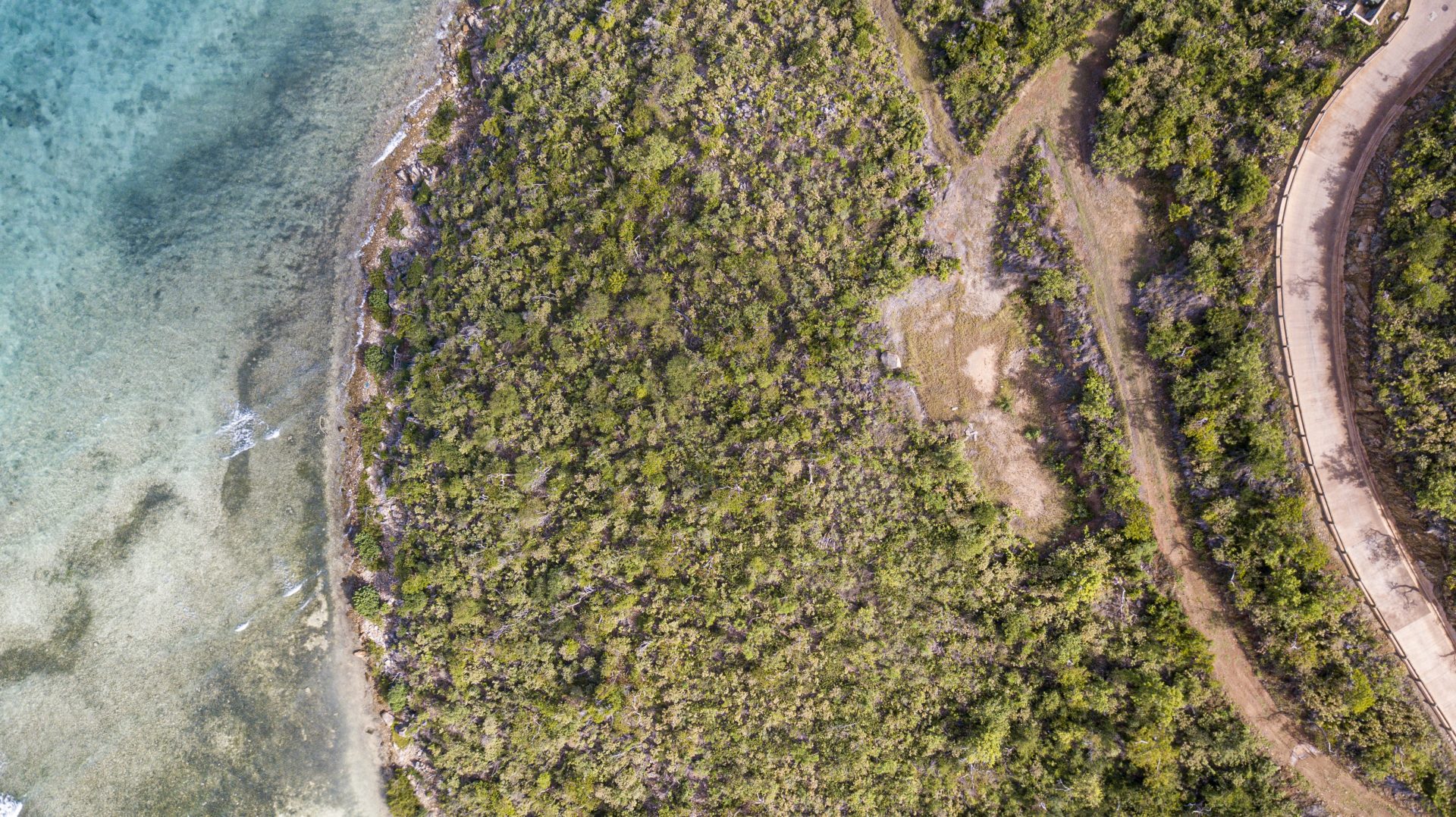 Aerial view of a coastal landscape with dense green foliage on the left merging into a turquoise sea. An E19 road can be seen on the right side, curving along the edge of the lush, forested area adjacent to an exclusive estate homesite.