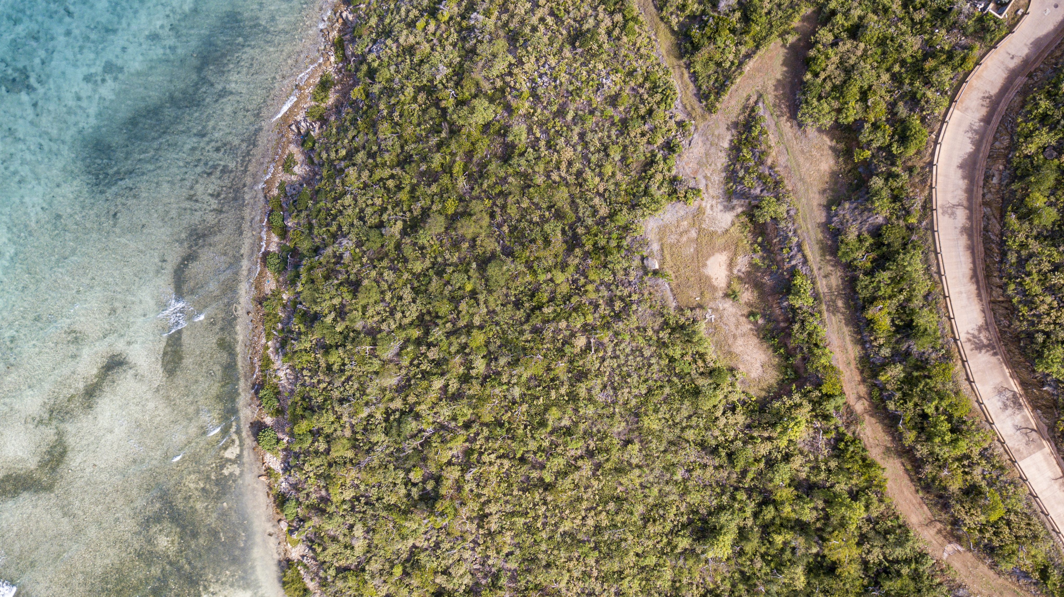 Aerial view of a coastal landscape with dense green foliage on the left merging into a turquoise sea. An E19 road can be seen on the right side, curving along the edge of the lush, forested area adjacent to an exclusive estate homesite.