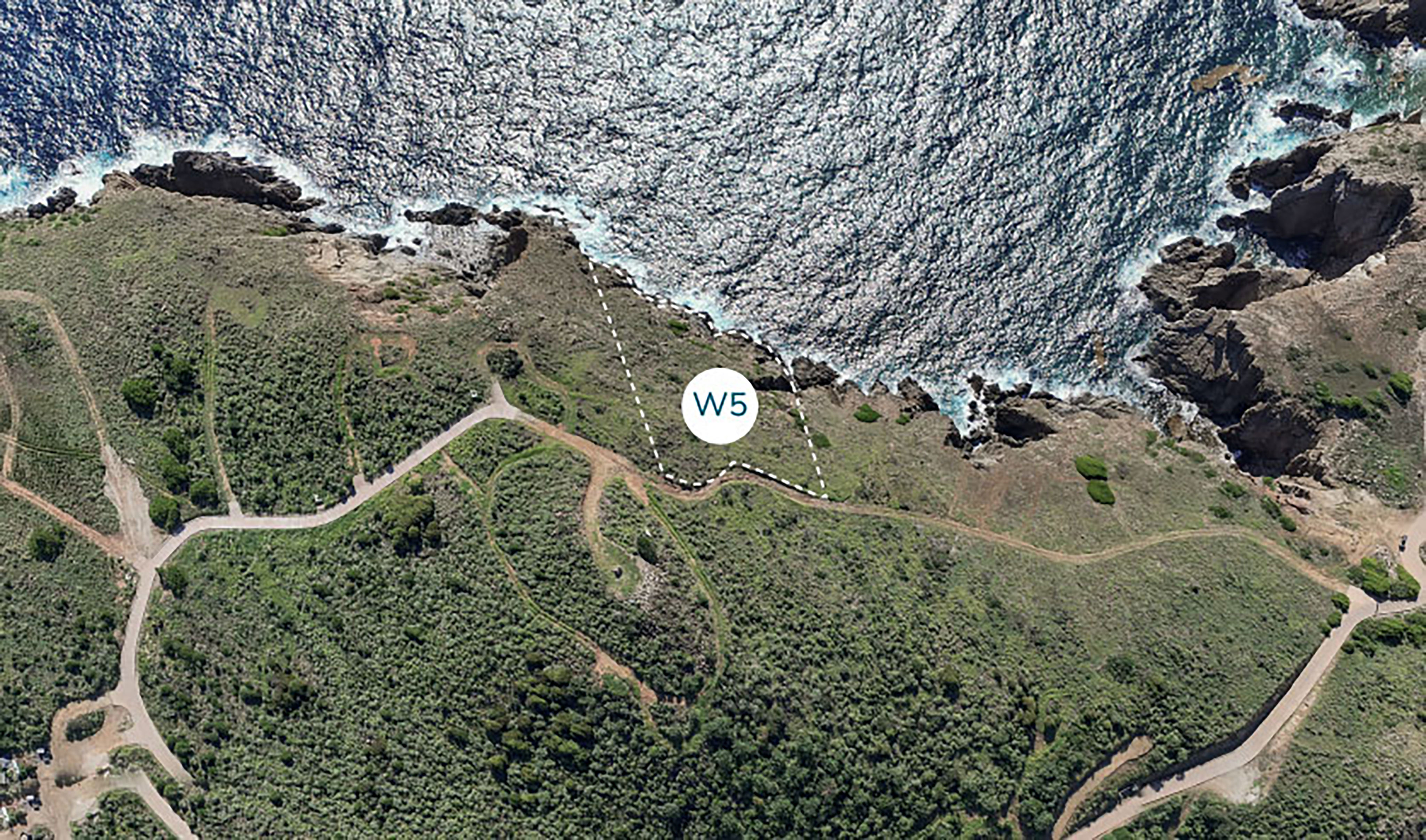 Aerial view of a hiking trail winding through green vegetation along a rocky coastline with waves crashing against the shore. A circular marker labeled "W5" is centered on the image, indicating a specific point on the trail, known as Wildside Homesite.