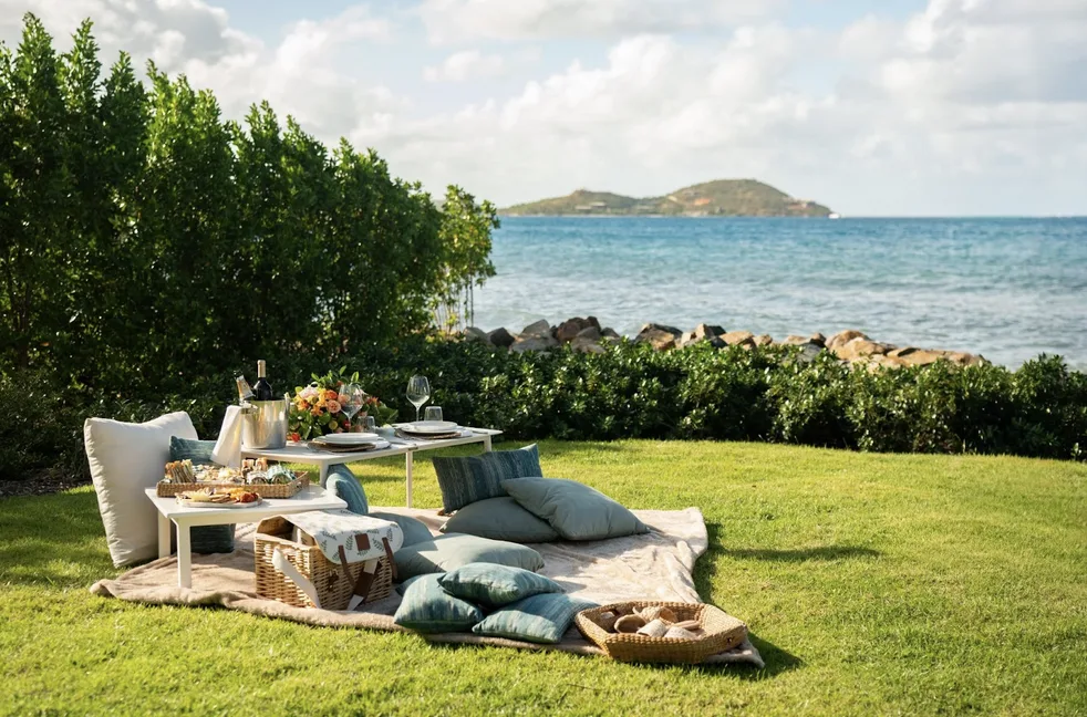 An intimate and exclusive picnic set on a lush green lawn overlooking the sea. The setup includes white low-profile tables laden with appetizers and wine, surrounded by plush floor cushions and a wicker basket, with a distant green island on the horizon.