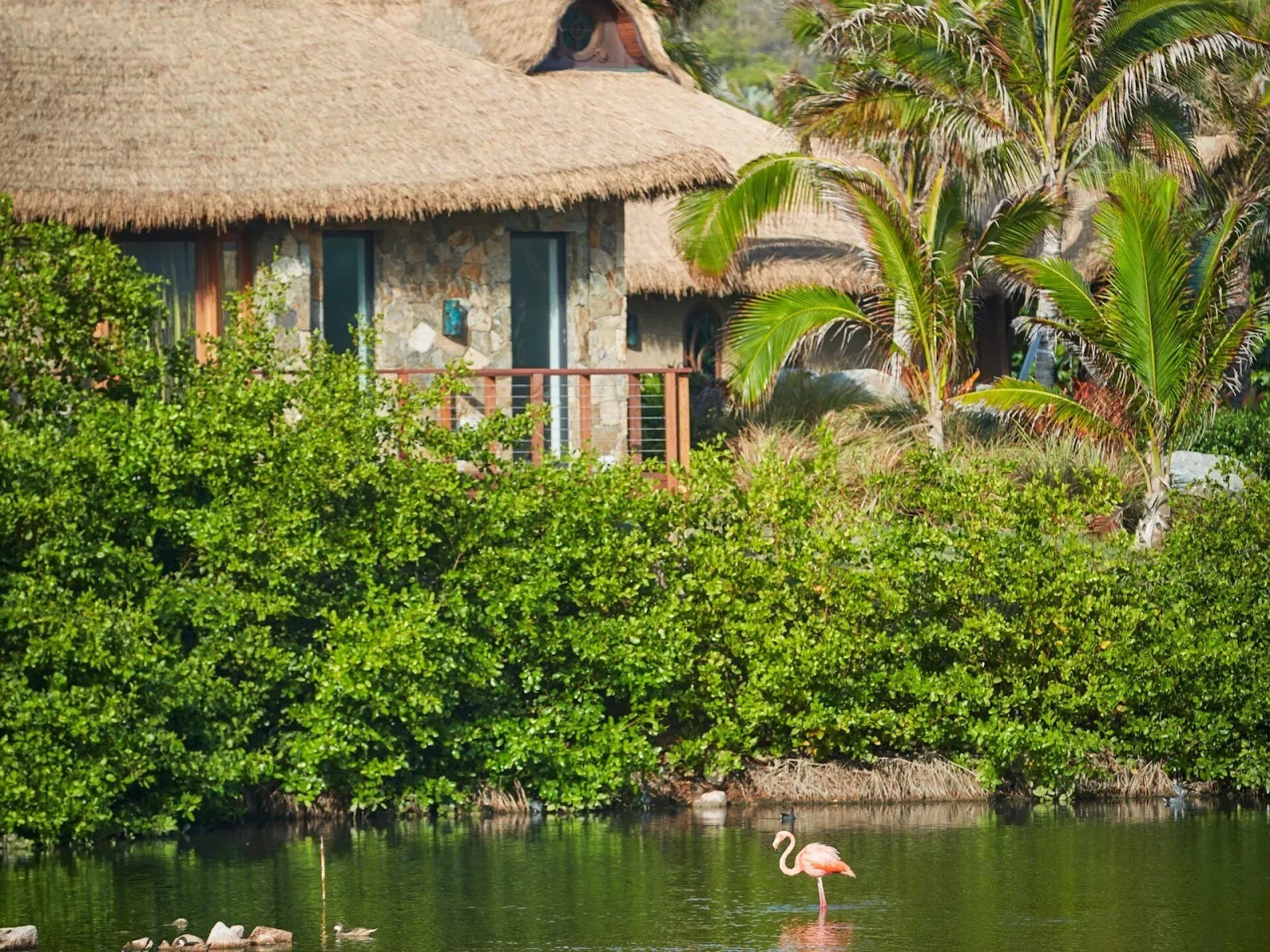 A pink flamingo wading in a quiet pond near thatched-roof villas surrounded by tropical palm trees.